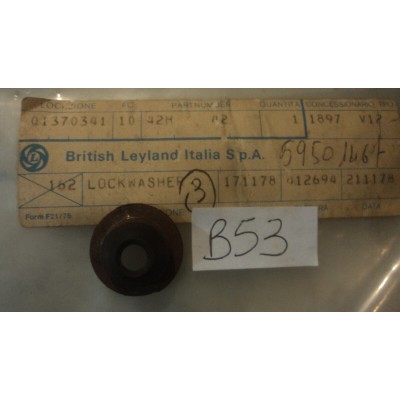 B53 XX - 42H42 LOCKWAHER ORIGINALE BRITISH LEYALND 59501467 INNOCENTI