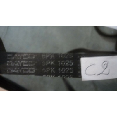 C2 § Cinghia Servizi DAYCO 6PK1025 AUDI SEAT SKODA VW -0