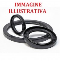 C987 - PARAOLIO OIL SEAL ANELLO DI TENUTA - 180 X 200 X 17