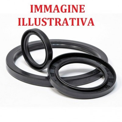 C987 - PARAOLIO OIL SEAL ANELLO DI TENUTA - 180 X 200 X 17