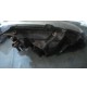 D877 § FANALE ANTERIORE SINISTRO SX OPEL CORSA DAL 2003 AL 2006