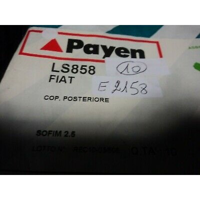 E2158 - PAYEN LS858 GUARNIZIONE COPERCHIO POSTERIORE FIAT CROMA DUCATO-0