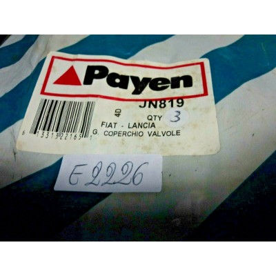 E2226 - PAYEN JN819 GUARNIZIONE COPERCHIO PUNTERIE FIAT TIPO TEMPRA