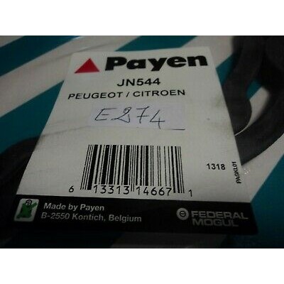 E274 - GUARNIZIONE JN544 PAYEN COPERCHIO PUNTERIE CITROEN BERLINGO PEUGEOT-0