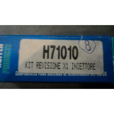 E430 § H71010 KIT REVISIONE PER 1 INIETTORE-0