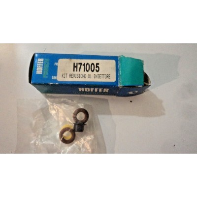 E876 § kit revisione iniettore H71005