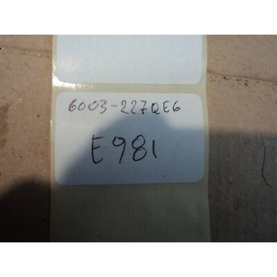 E981 - CUSCINETTO SKF6003 227QE6-0