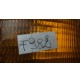 F982 § FRECCIA ANTERIORE SINISTRA SX VW PASSAT 88