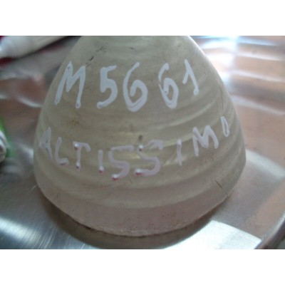 M5661 XX - PLASTICA FANALINO FRECCIA ALTISSIMO ANTERIORE AUSTIN-0