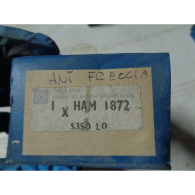 M7067 XX  - HAM1872 PLASTICA INDICATORE FANALINO ANTERIORE AUSTIN MINI METRO-0